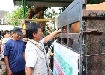 Pemantauan Hewan Kurban oleh Wali Kota Cirebon, Jaminan Kesehatan dan Kelayakan Menjelang Iduladha
