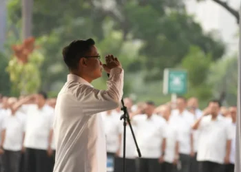 Hingga Petengahan Tahun 2026, Direktorat Jenderal Pajak Berhasil Kumpulkan Pendapatan Pajak Sebesar Rp 1.035,7 Triliun