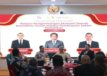 Melalui Focus Group Discusstion, OJK Cirebon Satukan Pemda dan Perbankan Perkuat Ekosistem  Komoditas Garam di Kabupaten Cirebon