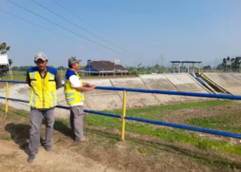 Embung Geyongan Mengering, Puluhan Hektare Sawah di Arjawinangun Terancam Gagal Panen