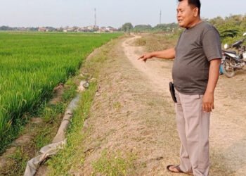 Akibat Berdirinya Perumahan Petani  Desa Jungjang Krisis Air, Sawah Terancam Gagal Panen